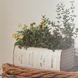 《可愛いBOOK 本型 ブリキポット鉢 》観葉植物 多肉植物 お花の寄せ植えに ガーデニング ビオラ アンティーク 95 2枚目の画像