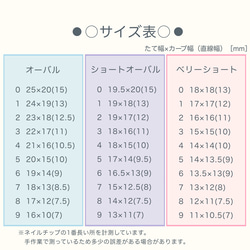 測定用　サンプル　チップ 4枚目の画像