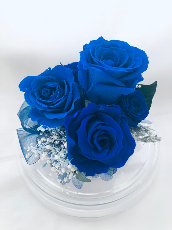 プリザーブドフラワー/ドームの中で咲く青い薔薇/ラッピング付き 2枚目の画像
