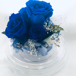 プリザーブドフラワー/ドームの中で咲く青い薔薇/ラッピング付き 3枚目の画像