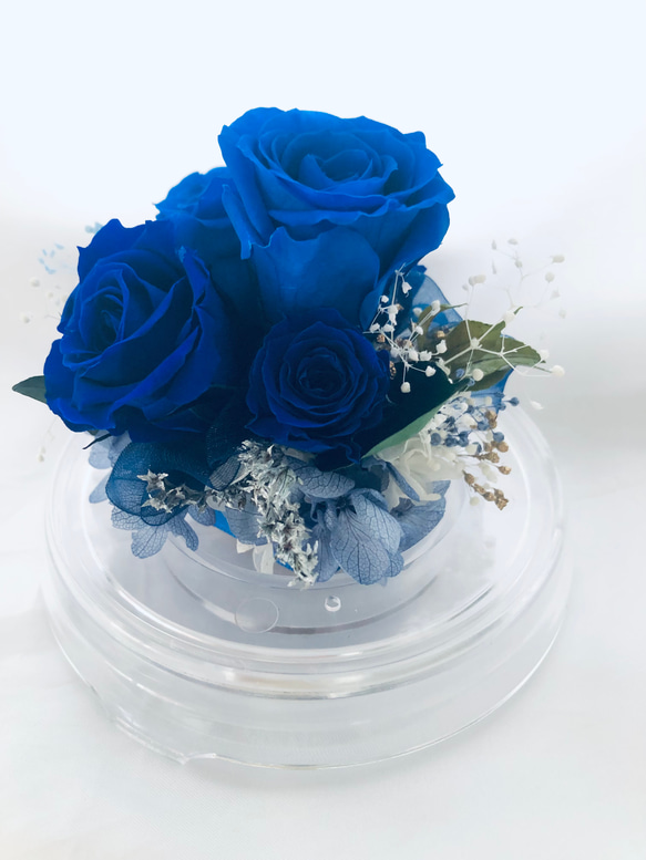 プリザーブドフラワー/ドームの中で咲く青い薔薇/ラッピング付き 3枚目の画像