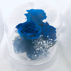 プリザーブドフラワー/ドームの中で咲く青い薔薇/ラッピング付き 1枚目の画像