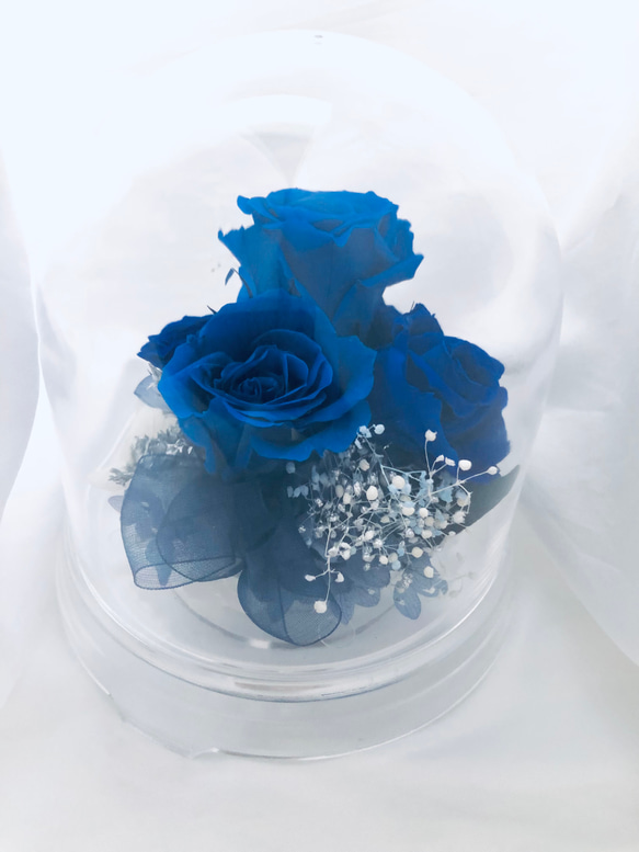 プリザーブドフラワー/ドームの中で咲く青い薔薇/ラッピング付き 1枚目の画像