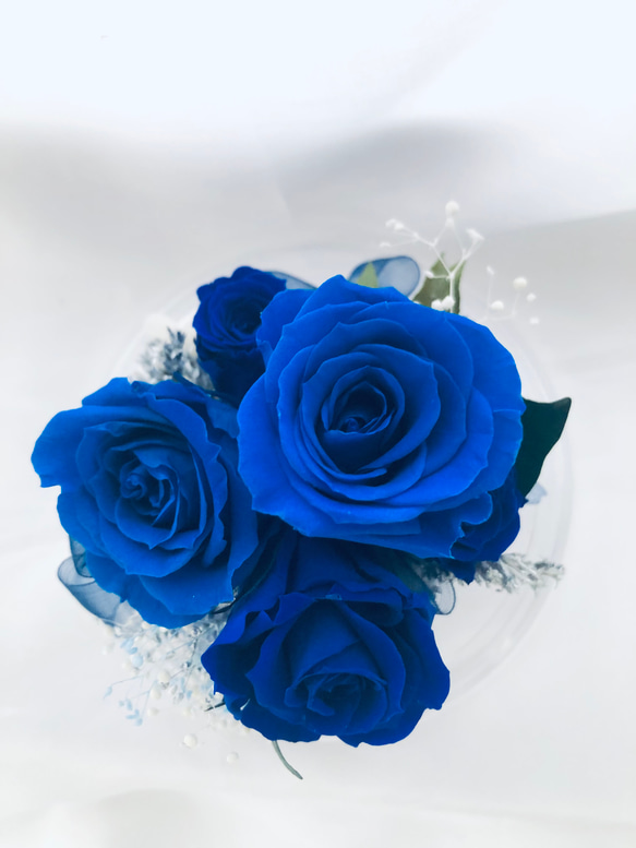 プリザーブドフラワー/ドームの中で咲く青い薔薇/ラッピング付き 4枚目の画像
