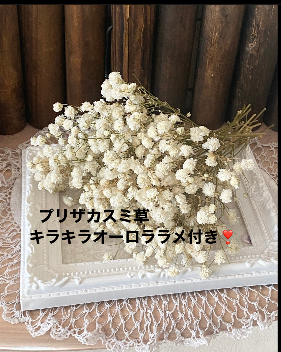 キラキラオーロララメ付き❣️アンティークプリザホワイトカスミ草 