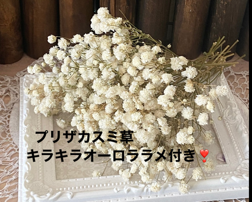 5915aa74b5227f4e1804457a8c095a