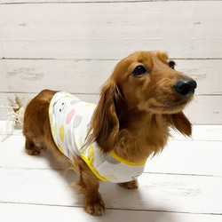 【NEW】 タンクトップ  カラフルスマイル Dog 犬服 ドッグウェア 春夏 スマイル 笑顔 ニコッ 8枚目の画像