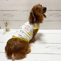 【NEW】 タンクトップ  カラフルスマイル Dog 犬服 ドッグウェア 春夏 スマイル 笑顔 ニコッ 7枚目の画像