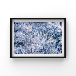 山岳風景写真 〜Frozen Trees〜 （樹氷･上高地･田代池･北アルプス･穂高連峰･登山／送料無料） 1枚目の画像