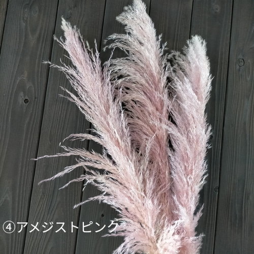 大人気 選べるカラー パンパスグラス 3本セット ドライフラワー