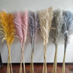 大人気 選べるカラー パンパスグラス 3本セット ドライフラワー