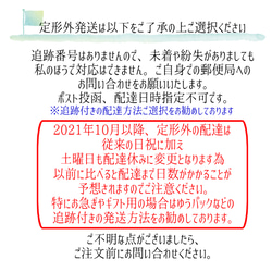 不定期入荷/お試し/ハート♡スワロビーズ癒し色サンキャッチャー 7枚目の画像