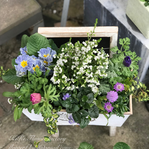 k_s　寄せ植え各種 限定1点！特価品！冬の寄せ植えCreema限定販売 その他インテリア雑貨