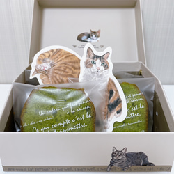 宇治抹茶ホワイトチョコケーキ5個♪猫イラスト貼箱入♪ ☆猫好き 抹茶