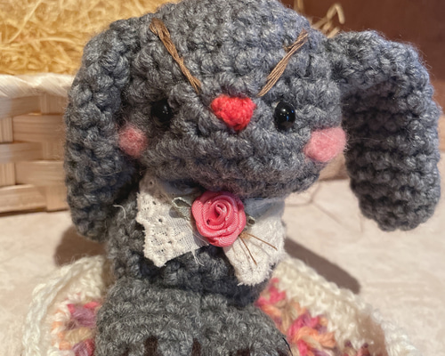 ５．あみぐるみ☆cocoperi1984☆ロップイヤー 5．あみぐるみ☆cocoperi1984☆ロップイヤー