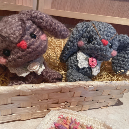 ５．あみぐるみ☆cocoperi1984☆ロップイヤー andeBoo：ウサギさんのパターン ロップイヤー うさぎ あみぐるみ 編み