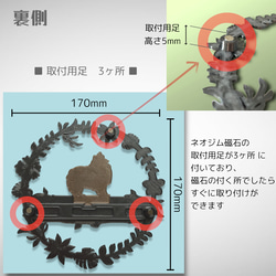  第2張的照片