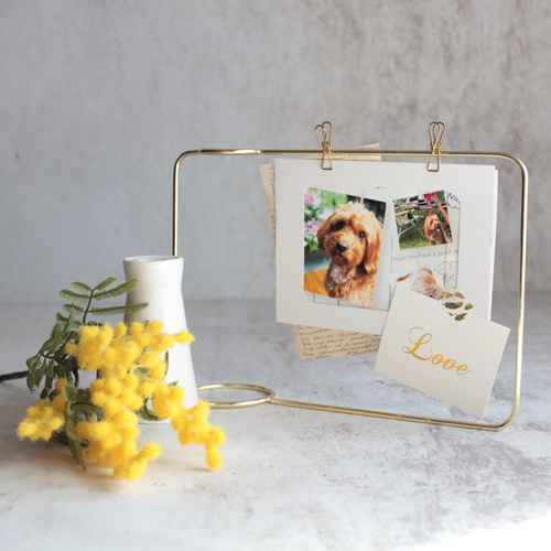 ミモザ】set花瓶付きゴールドワイヤーフォトスタンドアレンジ フォト