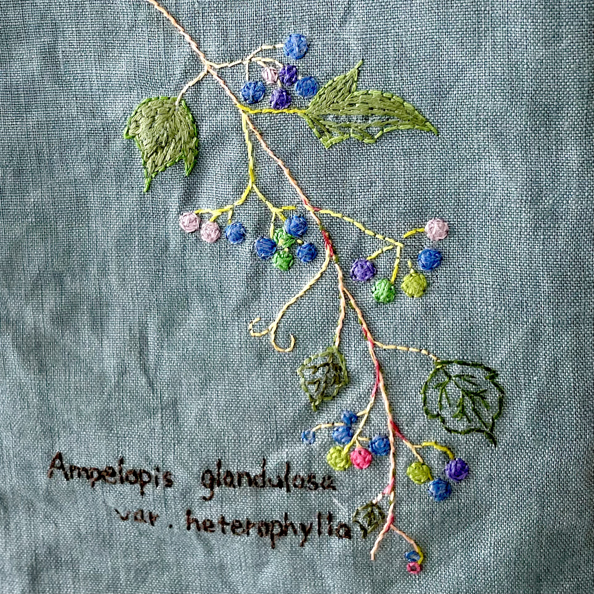 刺繍生地⋆*❁*大きめト－トバッグ⋆*❁*ハンドメイド 刺繍ﾄｰﾄﾊﾞｯｸﾞ 大 ﾃﾞｲｼﾞｰ畑: デコレーションアイテム ｜ YDM
