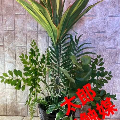 光触媒　人工観葉植物　ウォールグリーン　フェイク　フラワ　マッサンアレンジr88 光触媒 人工観葉植物 ウォールグリーン フェイク フラワー