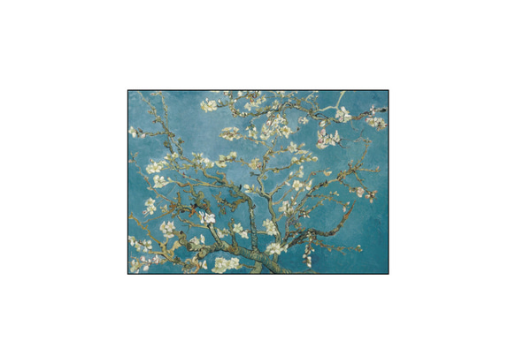 ゴッホ、花咲くアーモンドの木の枝、お祝いにもピッタリな名画ポスター、シンプルスタイル、北欧スタイルにも【G-0376】 12枚目の画像