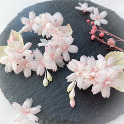 桜満開 さくらリースブローチ(ポニーフックに変更可)布花 サクラ 入学式【送料無料】 3枚目の画像