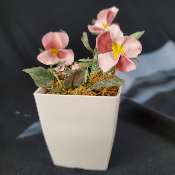 手染め ビオラ　鉢植え風 　布花 （正絹） 9枚目の画像