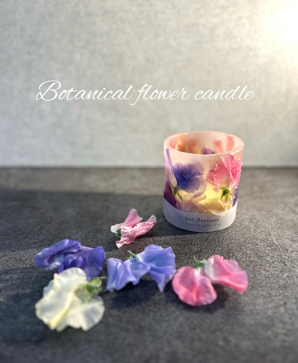 Botanical flower candle(スイートピー) LEDティーライトキャンドル付き 送料無料 1枚目の画像