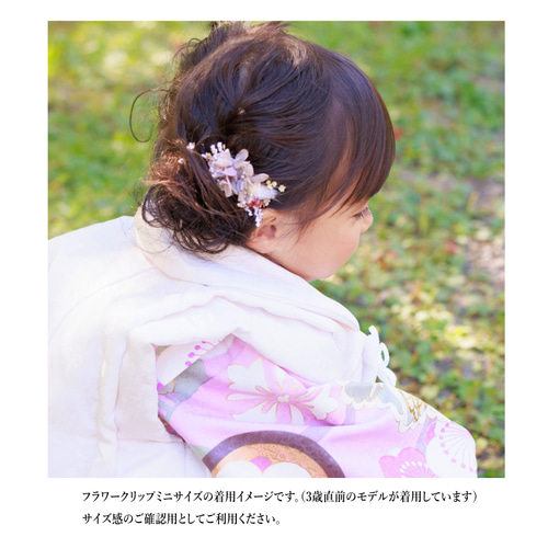 ドライフラワーのちいさなヘアクリップ / ピンクベージュ ドライフラワーのちいさなヘアクリップ / ピンクベージュ