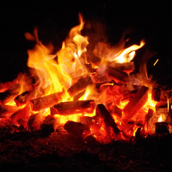 薪 ホワイトポプラ積層材 サイズ混合２２kg 送料無料 焚火 キャンプファイヤー アウトドア燃料 BBQ 19枚目の画像