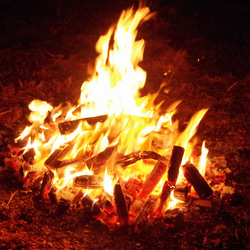 薪 ホワイトポプラ積層材 サイズ混合２２kg 送料無料 焚火 キャンプファイヤー アウトドア燃料 BBQ 17枚目の画像