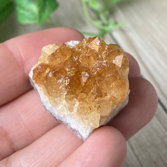 販売終了 ポジティブエネルギーを取り入れる/レア‼︎ カルサイト共生