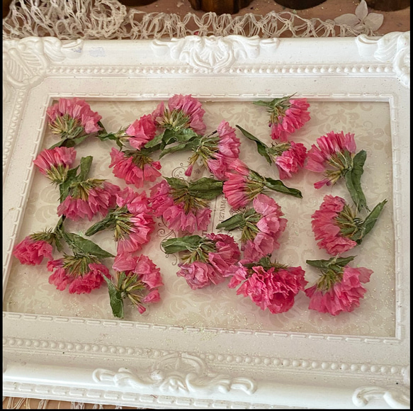 レア色❣️スターチスレッド小分け❣️ハンドメイド花材ドライフラワー
