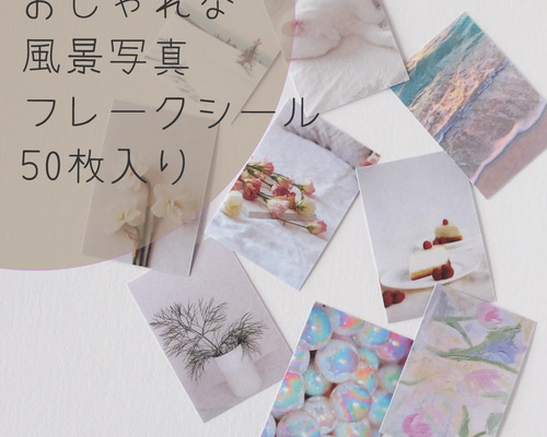 ▶︎import/黒いたぬきさまノベルティOPPテープセット 【公式通販】