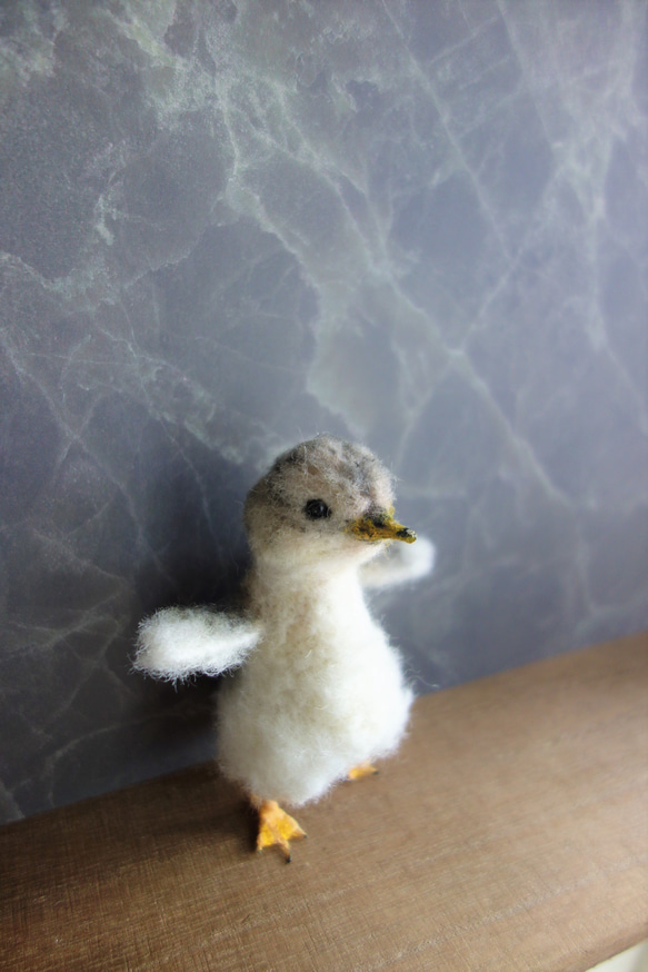 アメリカ・コアジサシのヒナ 鳥 ひな ドール ブライス 羊毛フェルト