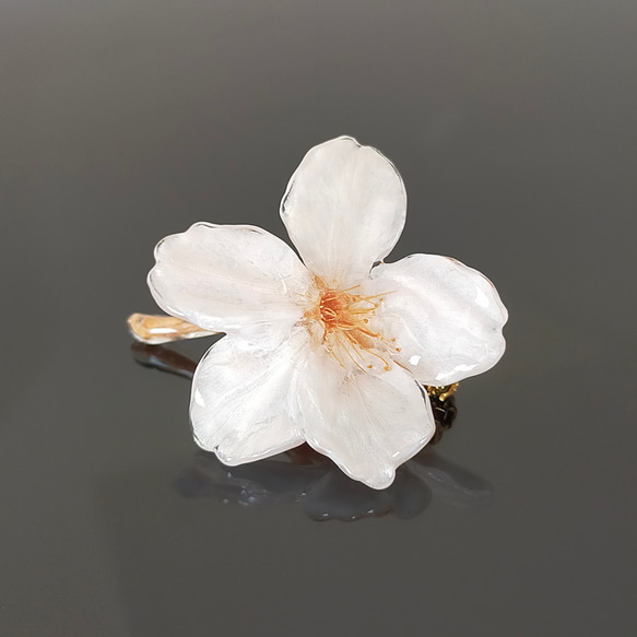 【No.2309】Everpink Sakura. 本物の桜のブローチ／ピンブローチ／コサージュ ソメイヨシノ 2枚目の画像