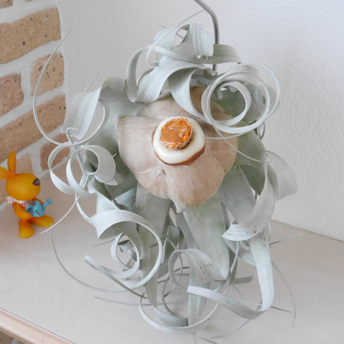 特大』 超激美 キセログラフィカ&流木スタンド エアープランツの王様