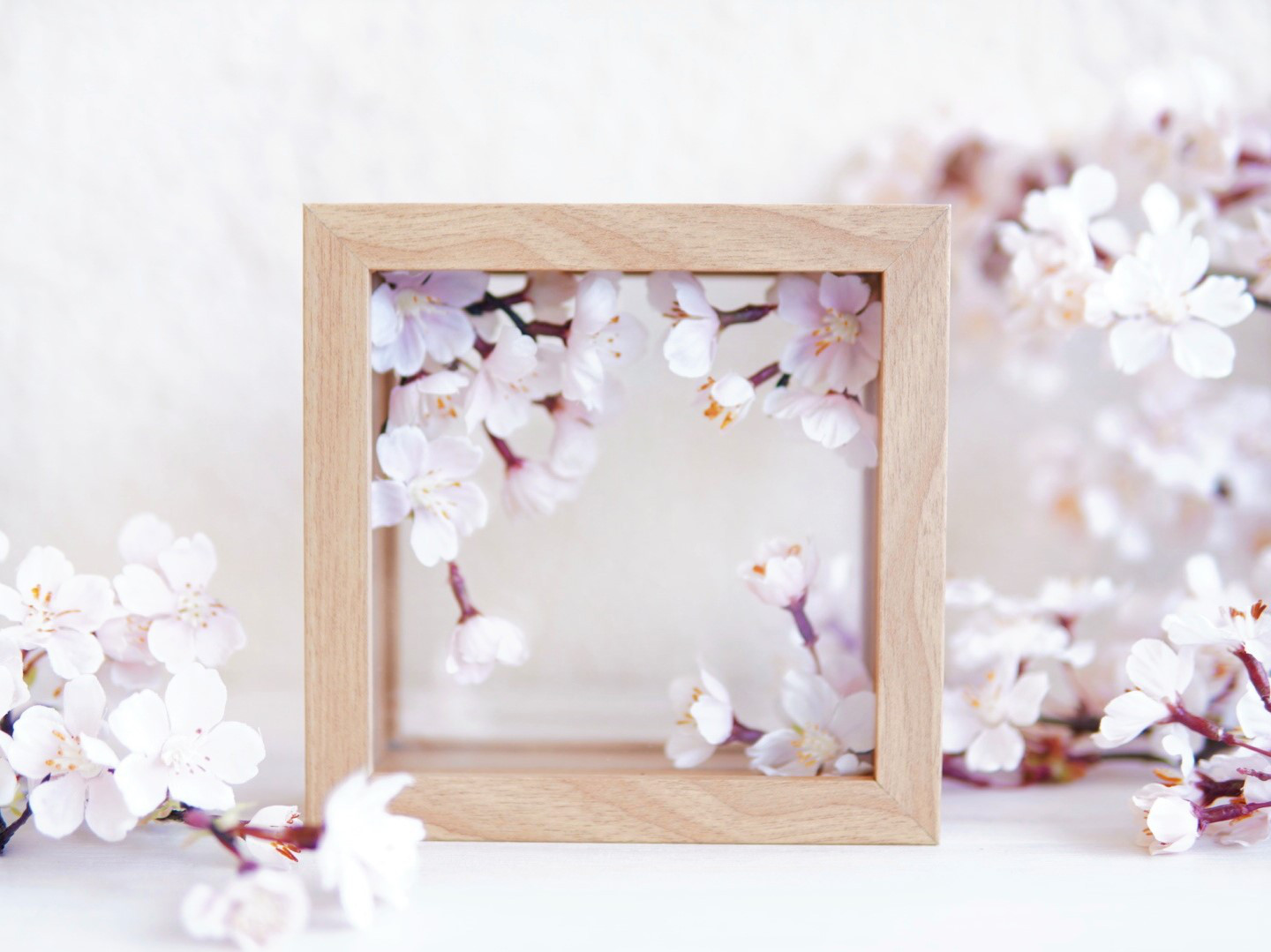 ガラスフレームのサクラサク S