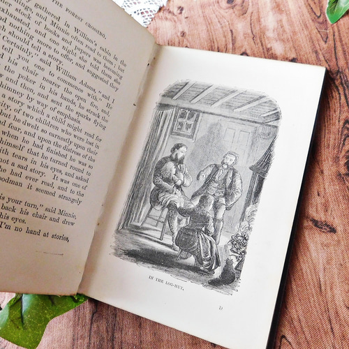 アンティーク　イギリスbook ボタニカル　洋書 アンティーク　イギリスbook ボタニカル　洋書