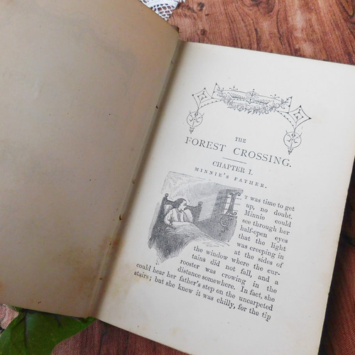 ゜+ 19世紀 洒落たボタニカルイラスト付き表紙 パープル 英国