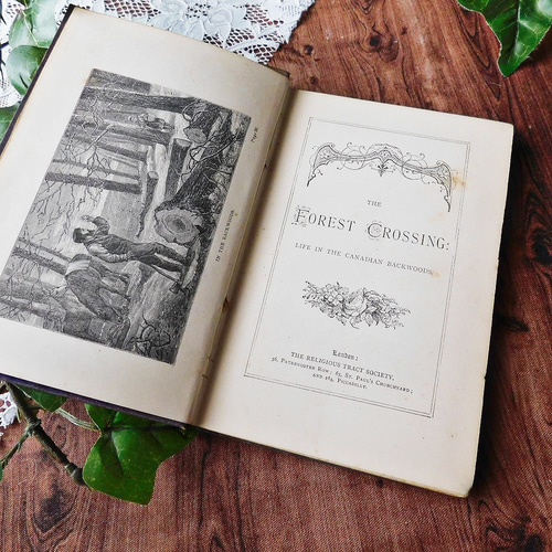 アンティーク　イギリスbook ボタニカル　洋書 ゜+ 19世紀 洒落たボタニカルイラスト付き表紙 グリーン 英国