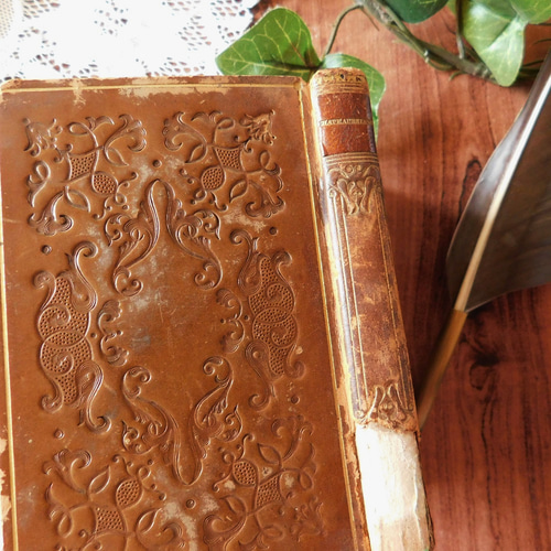 ゜+ 1831年 フランスの小さな小説 エレガントな表紙 アンティーク