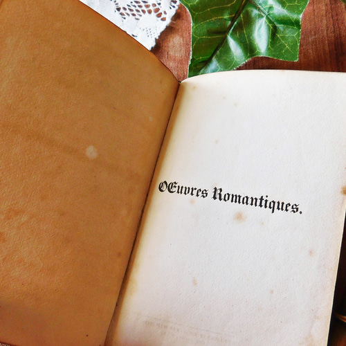 ゜+ 1831年 フランスの小さな小説 エレガントな表紙 アンティーク
