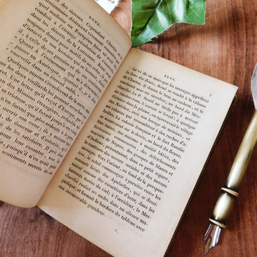 D871 ヴィンテージ 洋書 フランス語 ラテン語 ディスプレイ