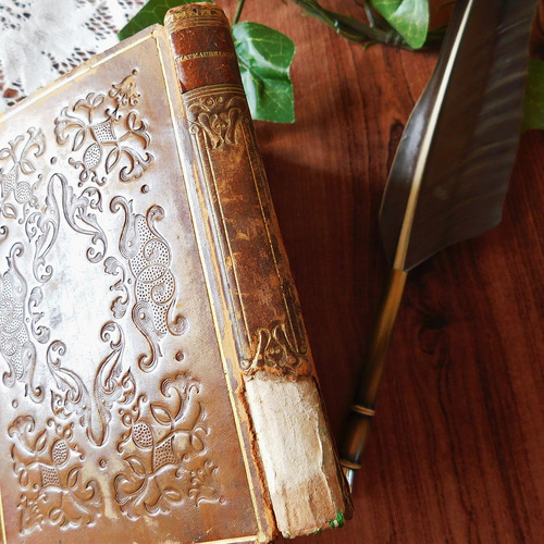 ゜+ 1831年 フランスの小さな小説 エレガントな表紙 アンティーク