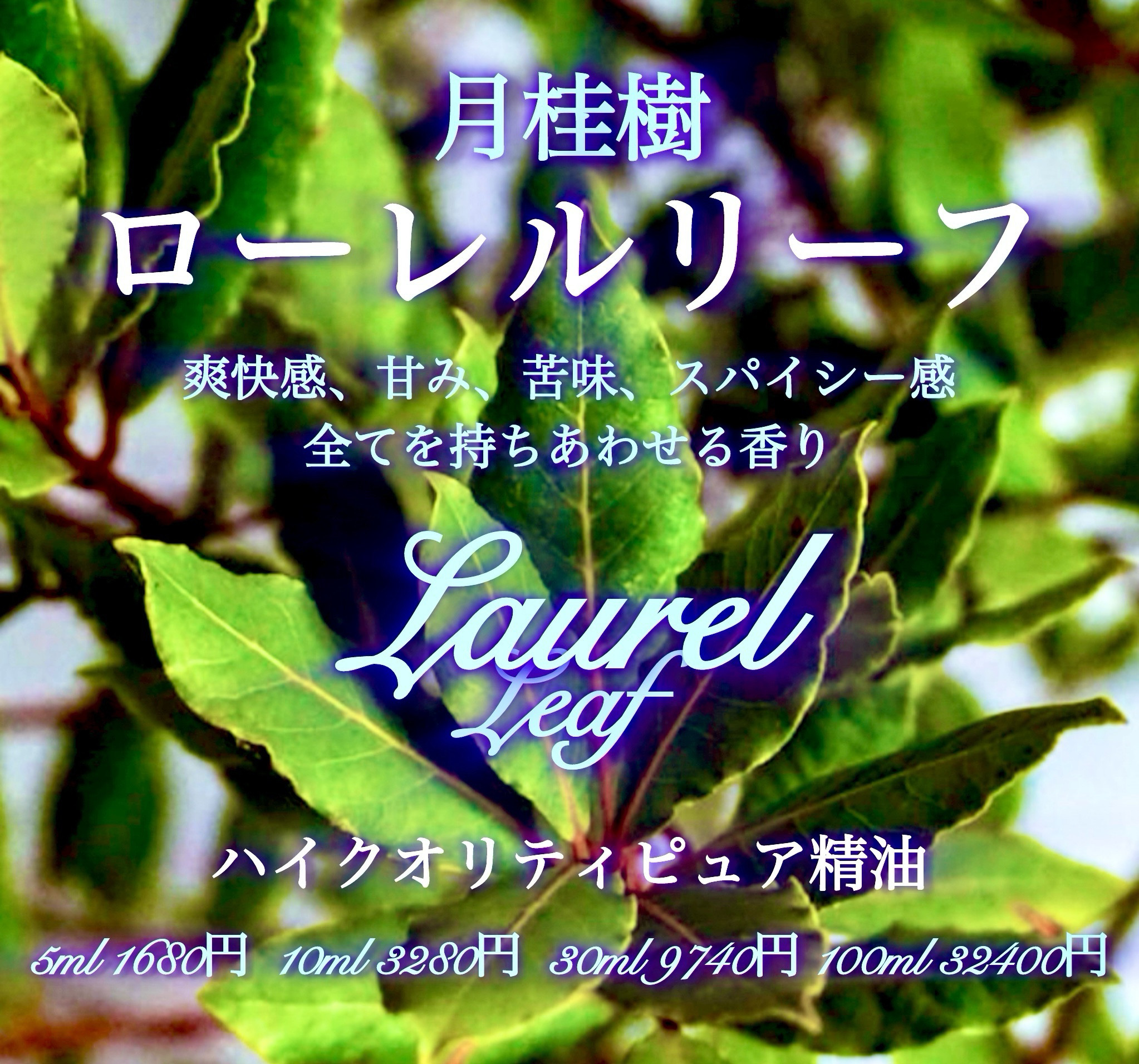 【甘み、ビター感、爽快感】ローレルリーフ（月桂樹）精油30ml