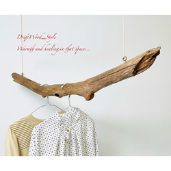 流木インテリア 太くて無骨な天然流木の中型ハンガーラック 北欧 衣装掛け ハンギング 吊り下げ ハンガーポール 3枚目の画像