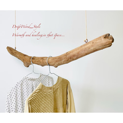 流木インテリア 太くて無骨な天然流木の中型ハンガーラック 北欧 衣装掛け ハンギング 吊り下げ ハンガーポール 4枚目の画像