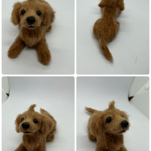 羊毛フェルト犬 オーダーメイドSサイズ 羊毛フェルト Miema711 通販