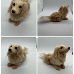 羊毛フェルトの愛犬さんオーダーメイド　Mサイズ 4枚目の画像